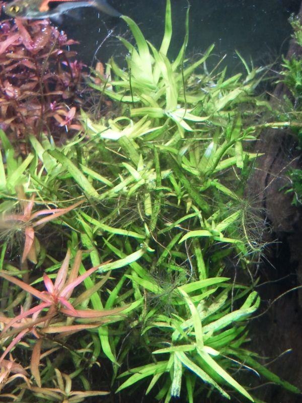 2013-01-22 17.53.11.jpg