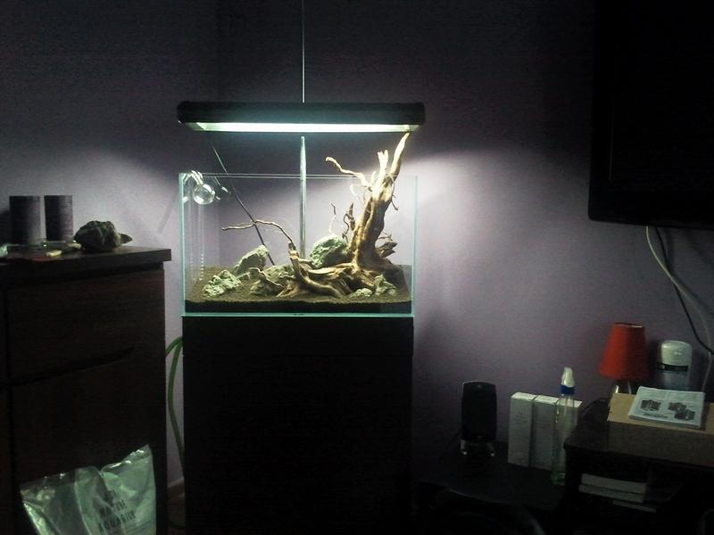 2013-03-04 08.13.45.jpg