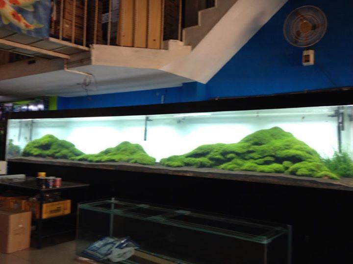 panorama2.jpg