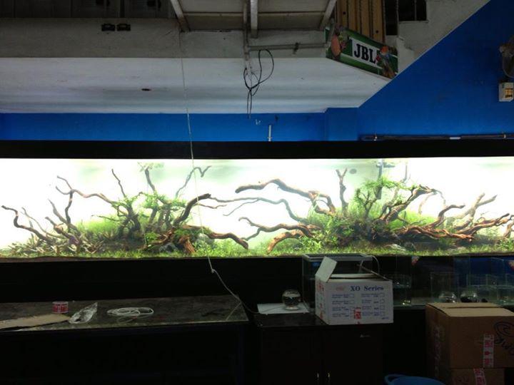 panorama1.jpg