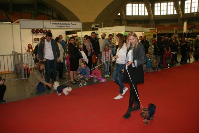 Zoobotanica 2014 055.jpg