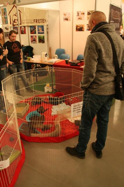 11_Zoobotanica 2014 020.jpg