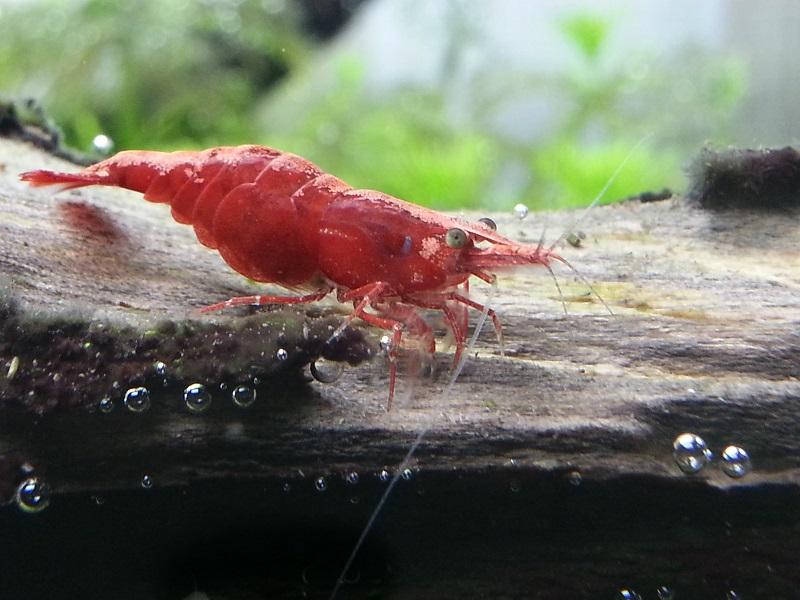 20140204_195530.jpg