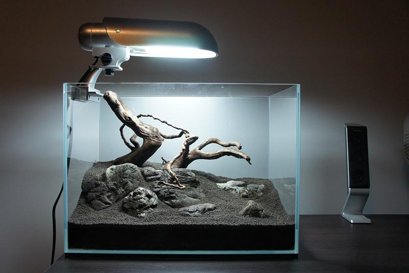 Hardscape.jpg
