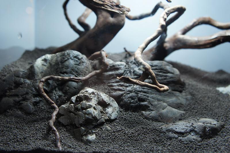 Hardscape-detal-1.jpg