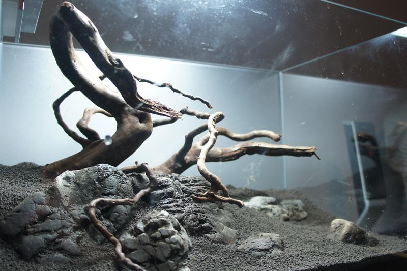 Hardscape-detal-2.jpg