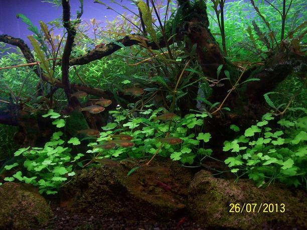 102_5069.JPG