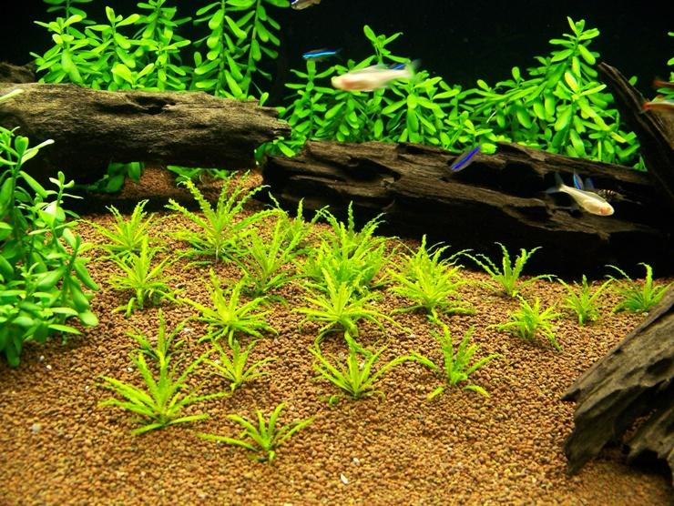 100_3344.JPG