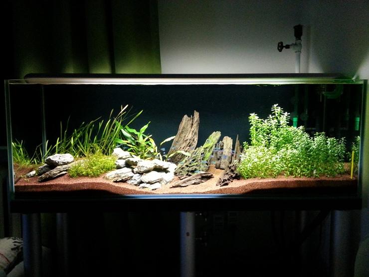 20131012_194756.jpg