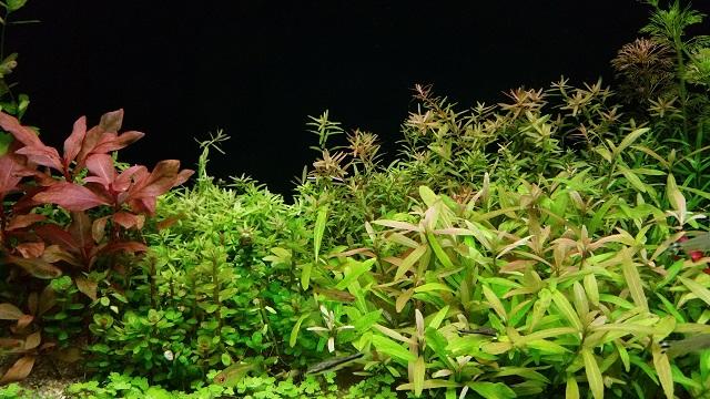 20160503_133255_small.jpg