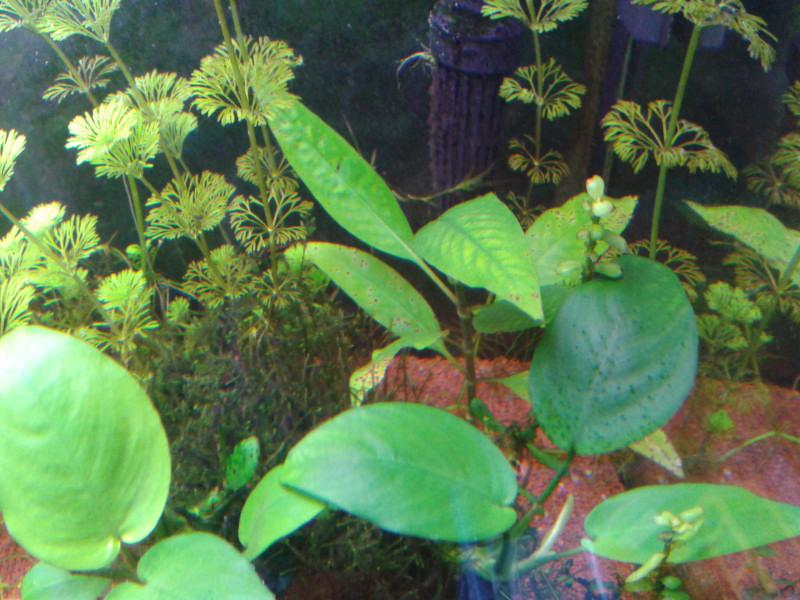 20130619_174940.JPG