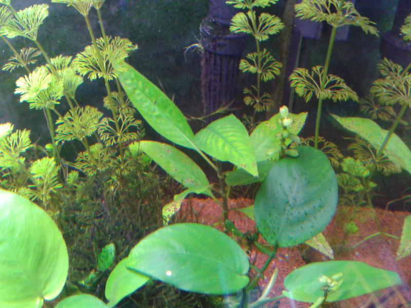 20130619_174934.JPG