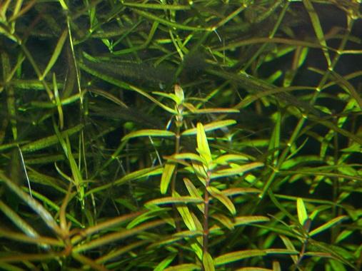 100_8876-20140101-082932.JPG