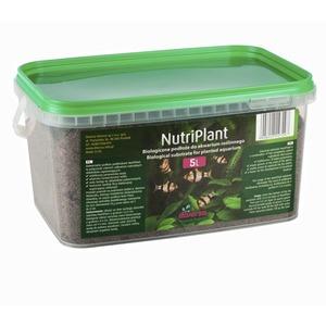 substrat_nutriplant_5l_-i-10583-1-300.jpg