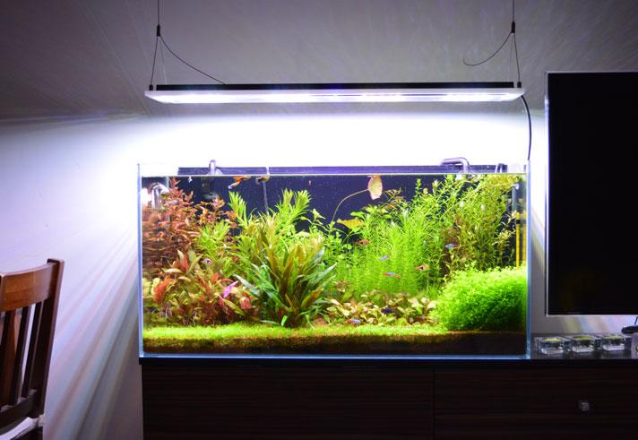 20150317_1.jpg