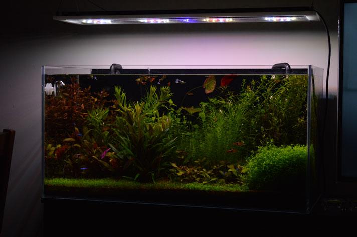 20150317_3.jpg