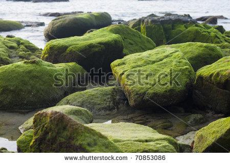 stock-photo-stone-70853086.jpg
