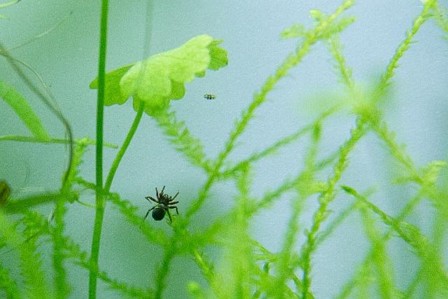 IMG_8119 640x480 RA.jpg