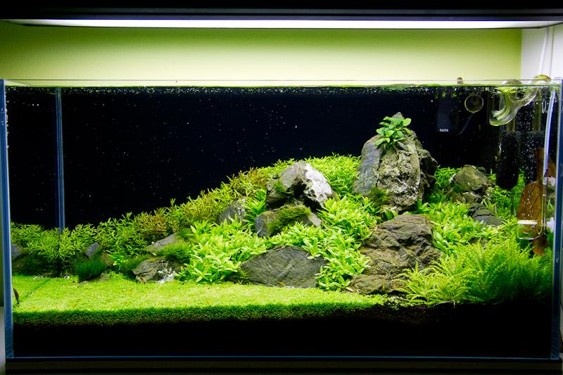 IMG_0714.jpg