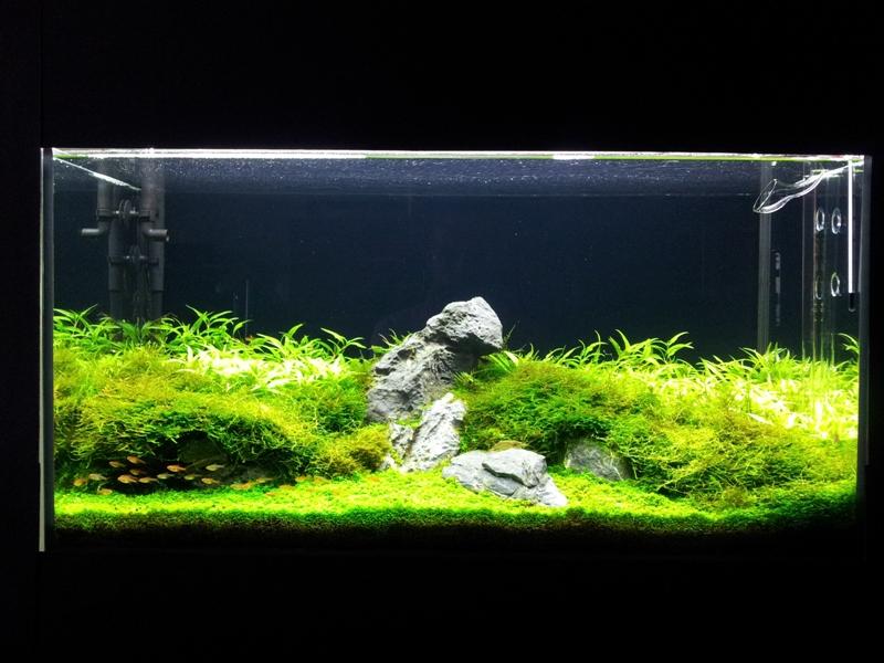 20130523_181116.jpg