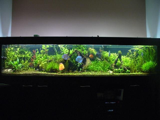 P1090209.JPG