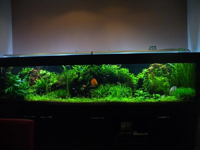 P1090629.JPG