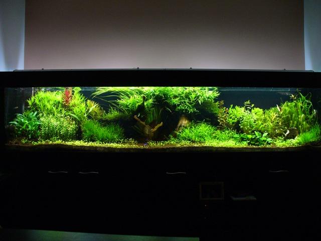 P1100322.JPG