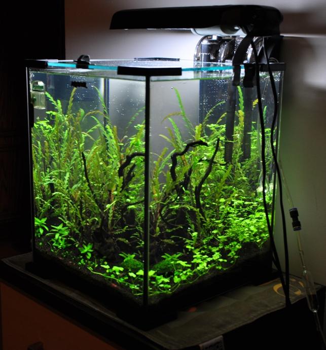 30l bok.jpg