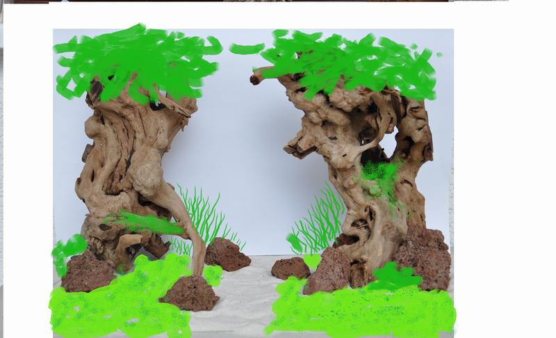 Resize of aquascepe 2.png