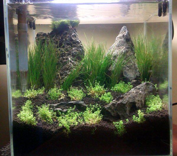 IMAG0491.jpg