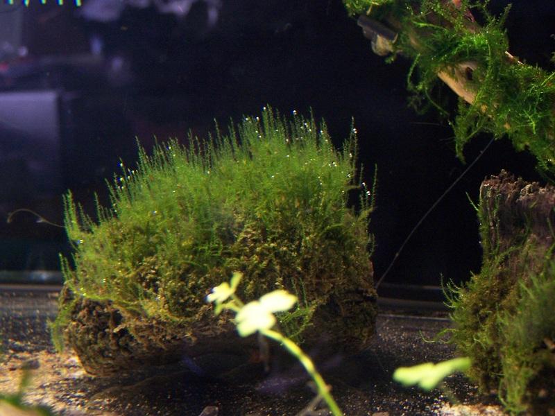 100_6472.JPG