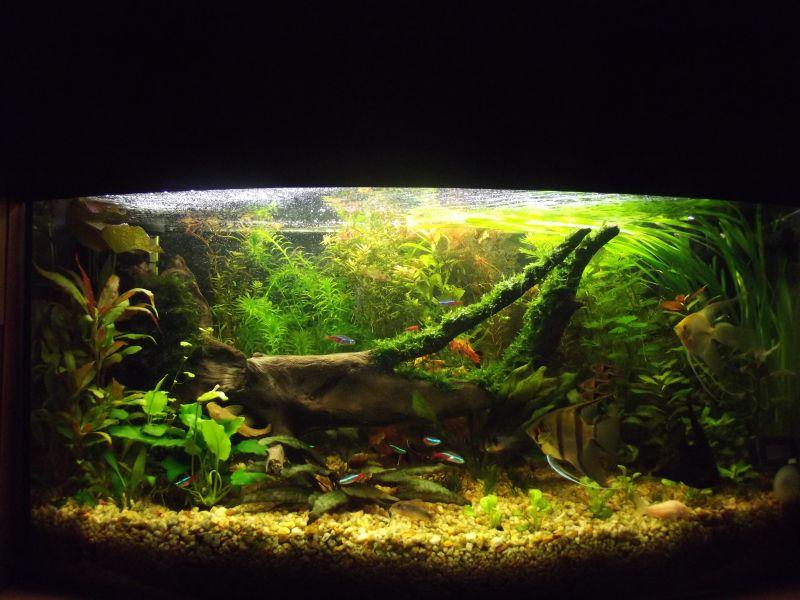 DSCF2859.jpg