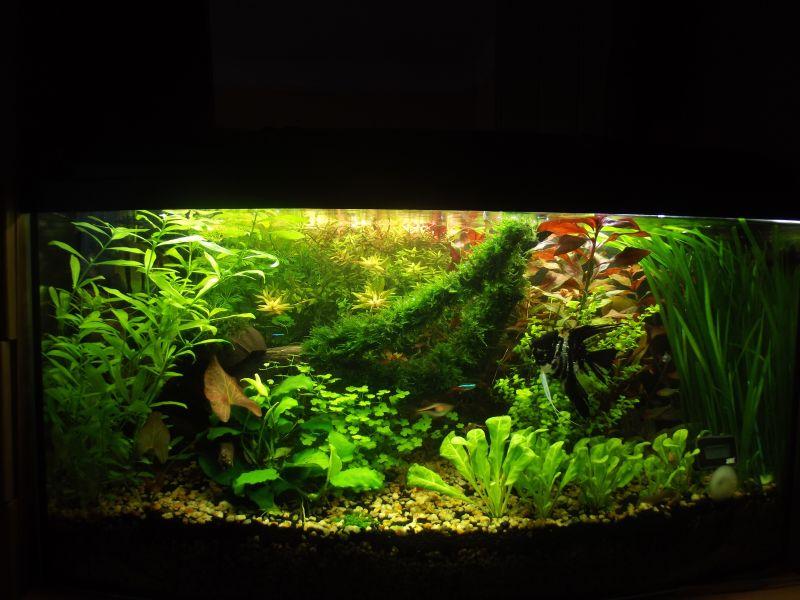 DSCF2945.jpg