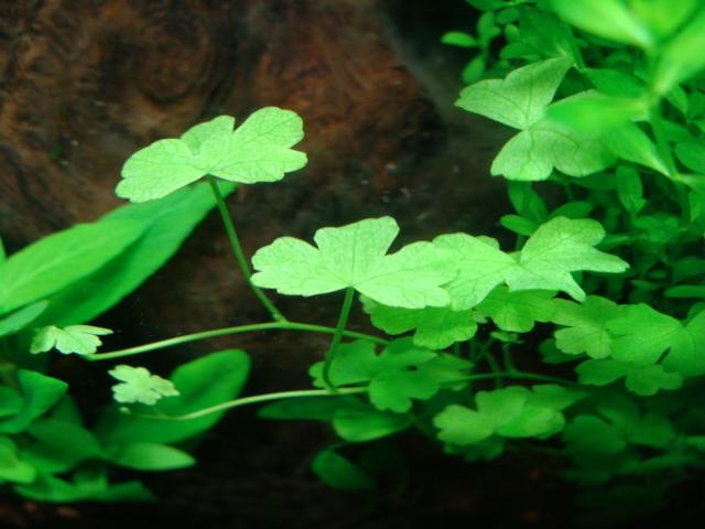 DSC07201.JPG