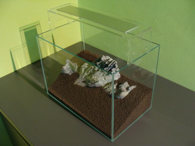 DSC08113.JPG