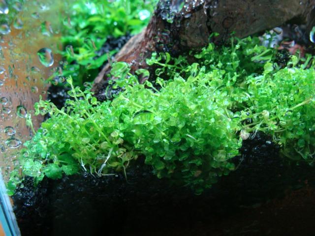 DSC07027.JPG