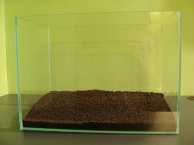 DSC08101.JPG