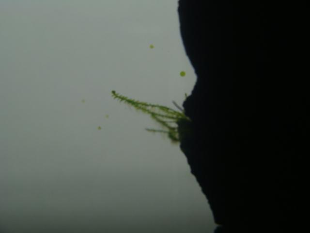 DSC07313.JPG