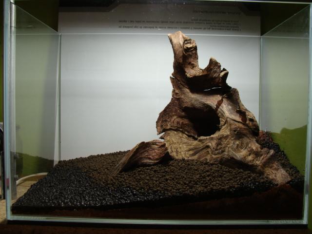 DSC07017.JPG