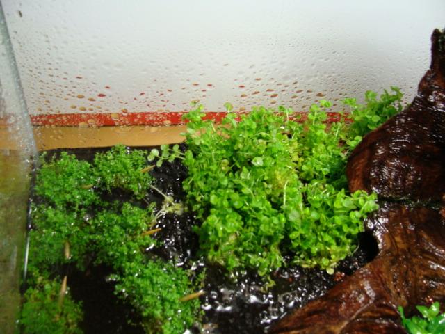 DSC07031.JPG