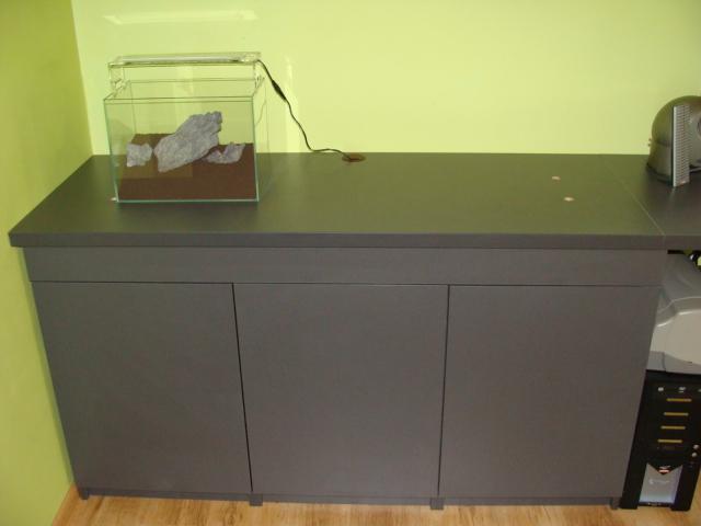 DSC08135.JPG