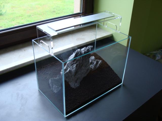 DSC08117.JPG