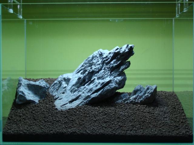 DSC08140.JPG