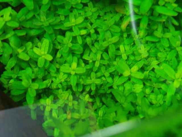 DSC07311.JPG