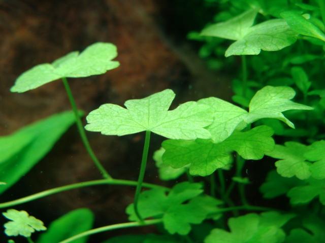 DSC07200.JPG