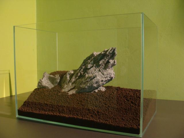 DSC08107.JPG