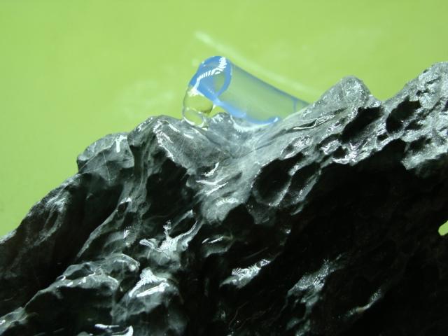 DSC08274.JPG