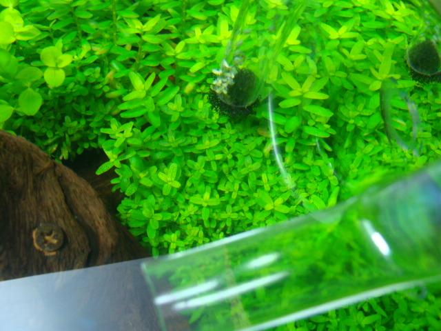 DSC07310.JPG