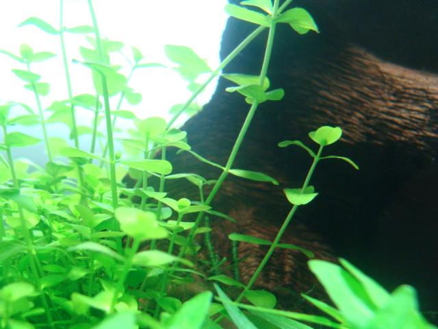 DSC07306.JPG