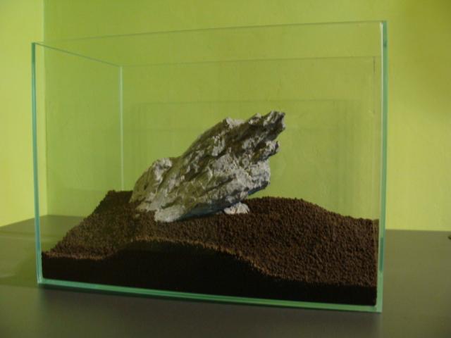 DSC08105.JPG